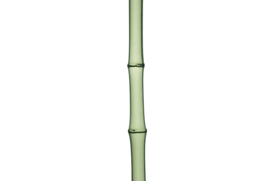 A single green bamboo stalk with distinct nodes isolated on transparent background