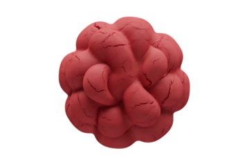 A single textured red organic shape with many rounded lobes isolated on transparent background