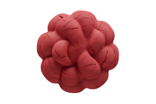 A single textured red organic shape with many rounded lobes isolated on transparent background
