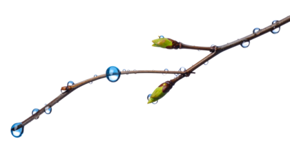 春の雨に漂う透明な水滴｜背景なし・透過PNG・コピースペース