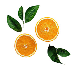 Sliced oranges and leaves on solid dark backdrop