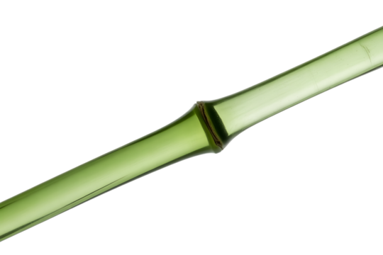 Close up view of a single green bamboo stalk segment isolated on transparent background