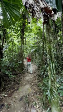 adventurous girl strolls in Licuala Forest Park admiring unique Australian fan palms (Licuala ramsayi) in lush dense rainforest, tropical North Queensland, near Cairns, Queensland, Australia