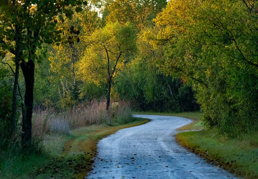 738-56 Blue Gold Pathway