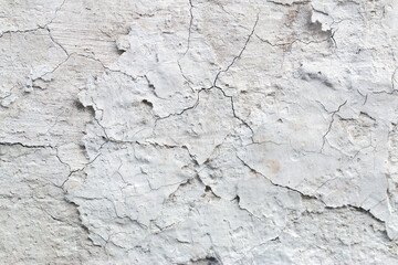 Light Gray Stucco Wall Texture. Abstract Background