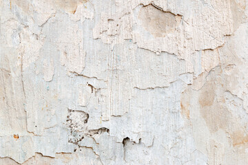 Light Gray Stucco Wall Texture. Abstract Background