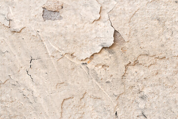 Light Gray Stucco Wall Texture. Abstract Background