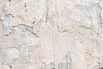 Light Gray Stucco Wall Texture. Abstract Background