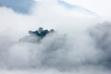 Obraz premium Landscape of Morning Mist with Mountain Layer. mountain ridge and clouds in rural jungle bush forest