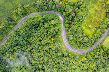 Landscape of Morning Mist with Mountain Layer. mountain ridge and clouds in rural jungle bush forest