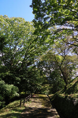 日本周遊　都北行脚　遠野鍋倉公園