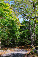 日本周遊　都北行脚　遠野鍋倉公園