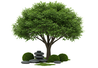 Mature deciduous tree with vibrant emerald foliage, intricate branches, river stones, and green moss on a seamless transparent studio background with diffused lighting. Pristine nature product concept