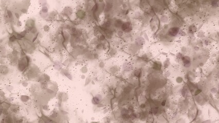 Neutral Gray Stone Grunge Texture Background.