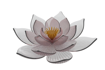 Delicate white lotus flower with yellow center isolated on transparent background