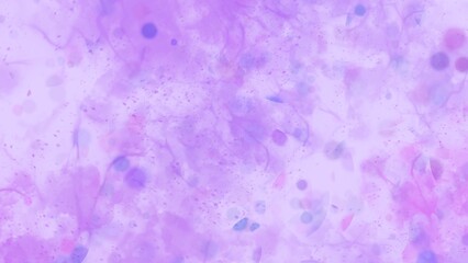 Vibrant Magenta Watercolor Artistic Background Texture.