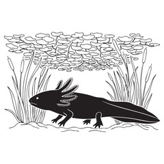 Axolotl Silhouette in Aquatic Environment with Water Plants - Line Art