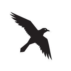 Fototapeta premium Silhouette of a black bird in flight with wings spread wide
