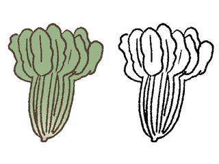 手描きのほうれん草