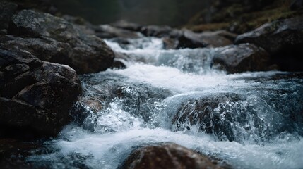Naklejka premium A fast flowing mountain stream cascades over dark wet rocks with white foam and spray
