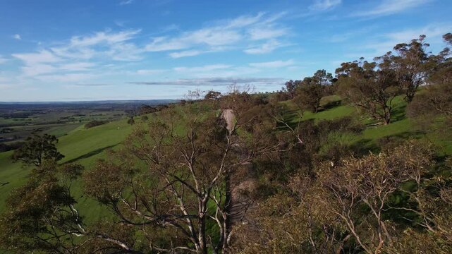 Trees And Hill In Rifle Range Lookout, Bethany, South Australia - Aerial Shot