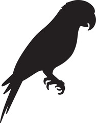 Black silhouette of a parrot perched on a white background
