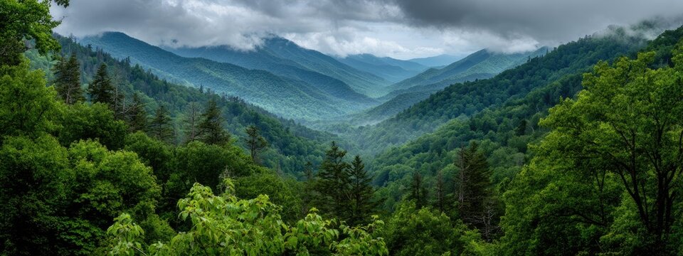 Panoramic view of lush green mountains and valleys, shrouded in mist beneath a cloudy sky