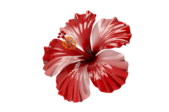 Vibrant red and white striped hibiscus flower isolated on transparent background