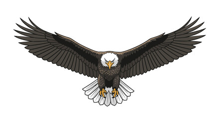 Fototapeta premium The majestic bald eagle soars through the sky with its wings spread wide.
