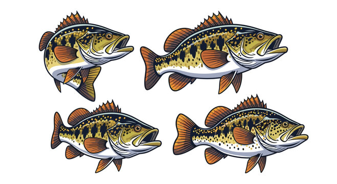 Four distinct illustrations of a largemouth bass fish in various poses and angles.