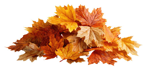 Autumn leaves clustered together