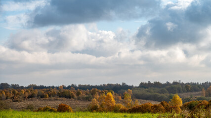 Golden autumn on a hilly plain covered with meadows and forest.