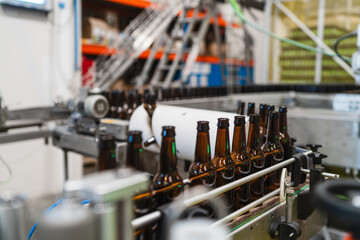 Empty glass beer bottles traveling on a conveyor belt in a modern industrial factory. Brewing process and bottling