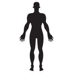 Man  body silhouette. Human figure icon.  Bare and naked slim healthy people vector. eps 10