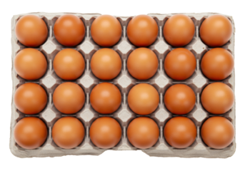 Two dozen brown chicken eggs in carton isolated PNG, fresh farm eggs for cooking and baking on transparent background