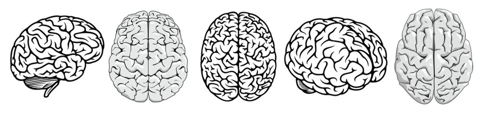 black and white cartoon human brains vector illustration