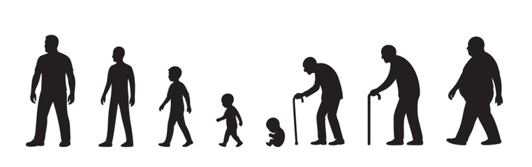 Black silhouette icon set of male life stages from fetus to elderly including baby, toddler, child, teenager, adult man, middle aged, senior person. human aging process, life cycle evolution, lifetime
