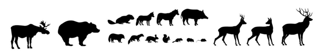 Animals living in european forest. Wildlife icon set of silhouette.