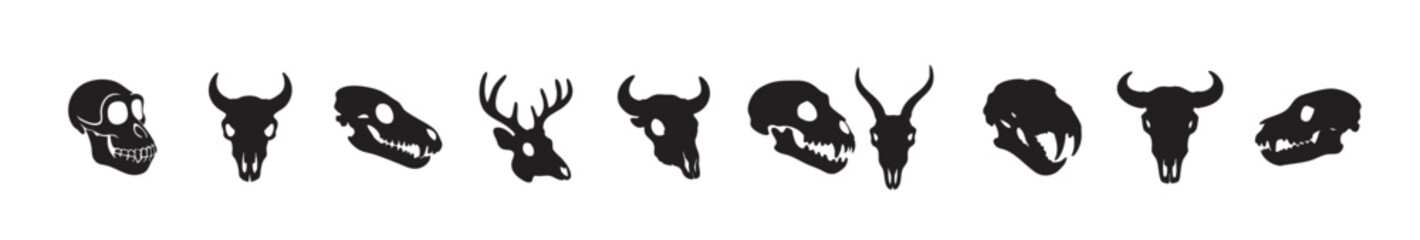 Black silhouette of various animal skulls, isolated on white background, graphic illustration. concept of wildlife, mysterious art, skull designs, decor elements, tribal tattoo symbols, collection