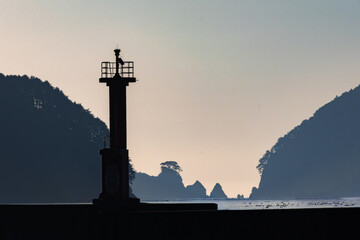 日本周遊　東北行脚　釜石唐丹の海