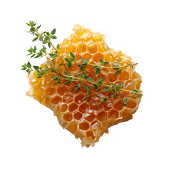 Honeycomb with thyme herbs