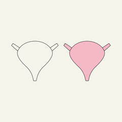 bladder. internal organs. health theme. vector illustration