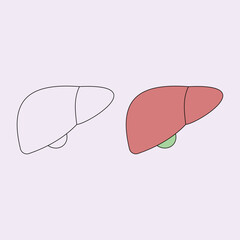 liver. internal organs. health theme. vector illustration