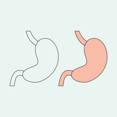 Stomach. Internal organs. Health theme. Vector illustration