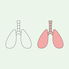 lungs. internal organs. health theme. vector illustration