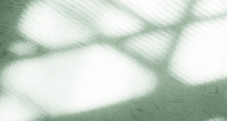 Background green abstract line shadow overlay on cement wall floor beige mockup product cosmetic summer tropical nature presentation frame template eco backdrop environment