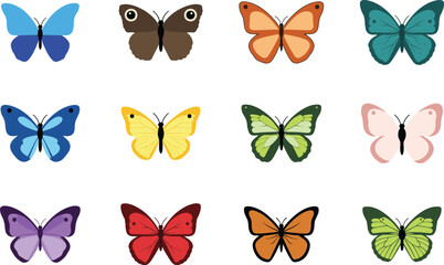Colorful Butterfly Vector Illustration Set