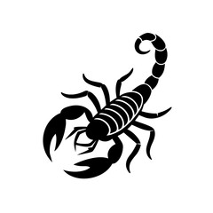 scorpion vector illustration