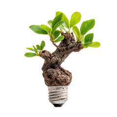 Tree growing from a light bulb