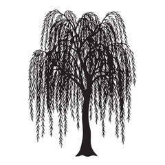 Black silhouette of a weeping willow tree, featuring long, drooping branches and a distinct, elegant form, isolated on a white background
